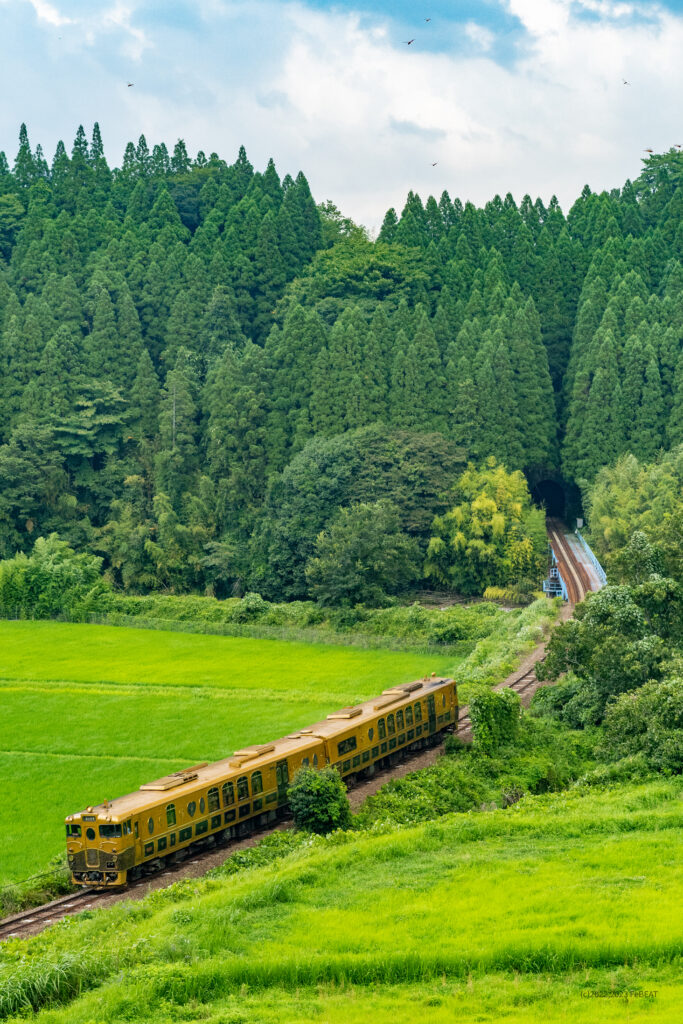 久大本線を豊後中村から引治へと走るキハ40系「或る列車」