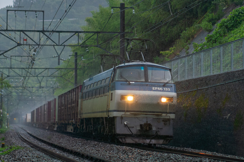 雨の東海道本線を真鶴から根府川へと走るEF66形牽引の貨物列車