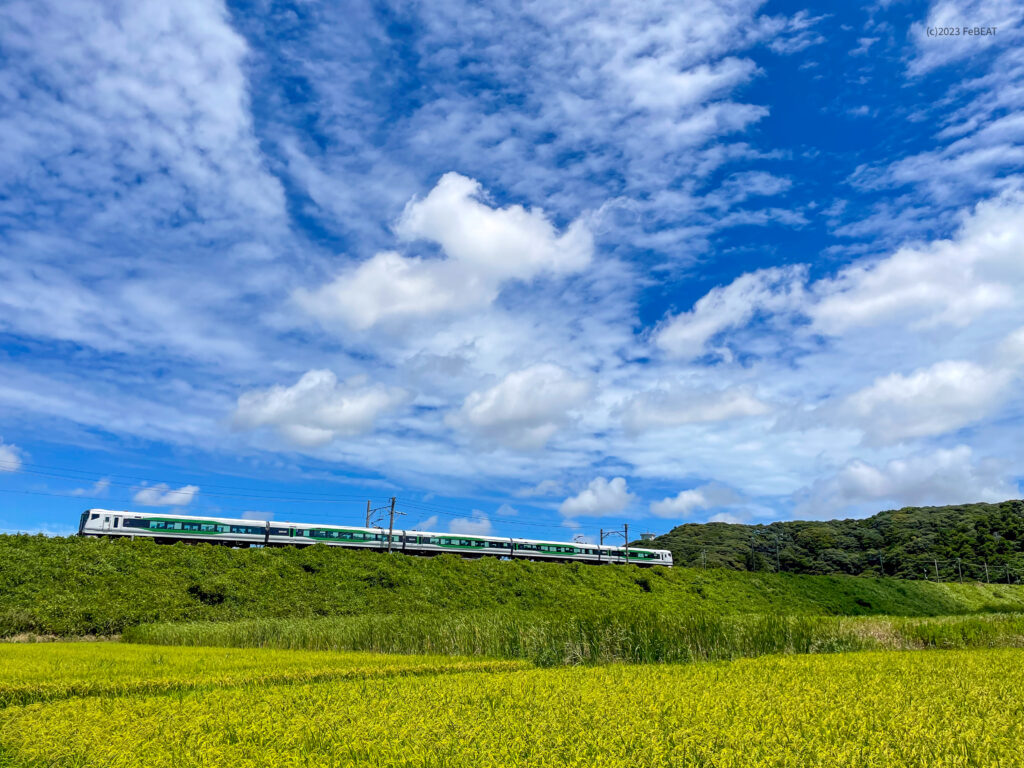 総武本線を飯岡から倉橋へと走る臨時のE257系「しおさい」