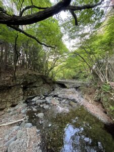 撮影地周辺の様子